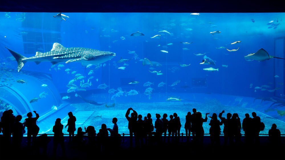 aquarium in japan