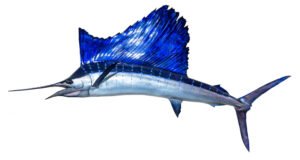 Sailfish: Stunning Ocean Predator Fun Facts, Habitat & FAQ