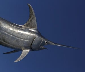 10 Fascinating Swordfish Fun Facts + FAQ