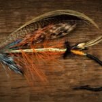 dunkled salmon fly