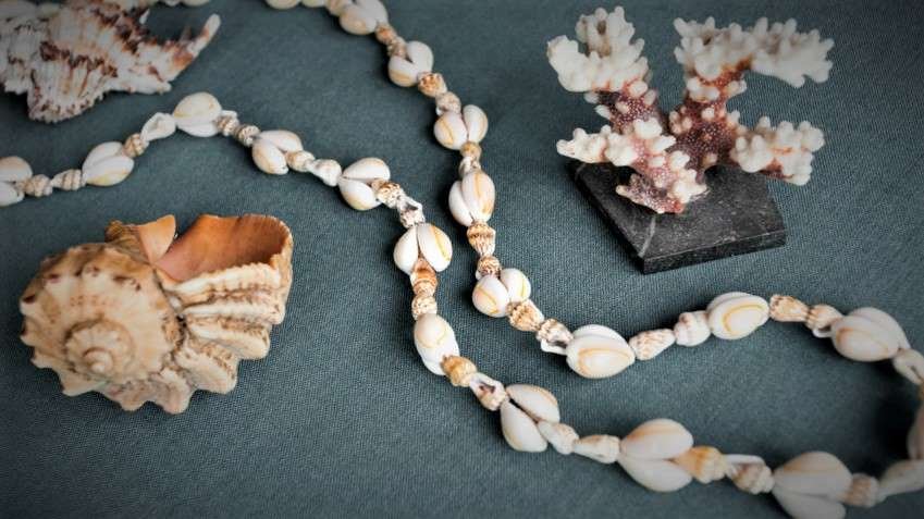 Niihau Island Lei Material Pupu shell necklace