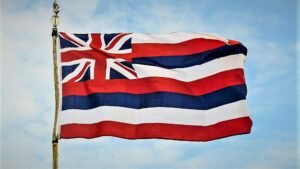 State Flag Of Hawaii Background, History & Adoption 1845