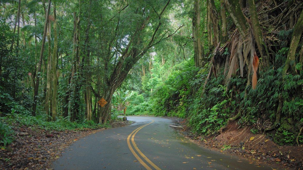 Driving on the Road to Hana Maui