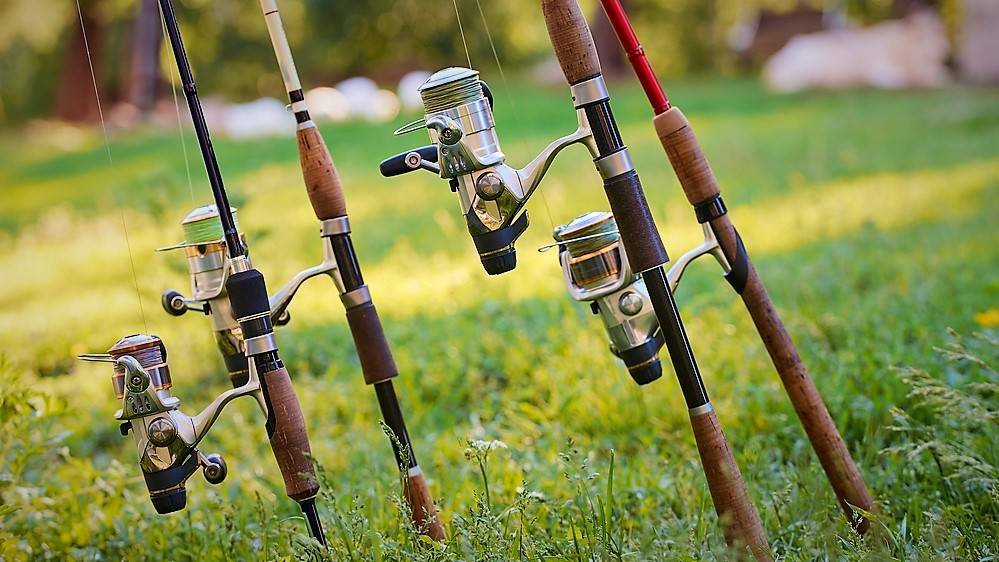 How to Choose the Best Fishing Rod for Beginners