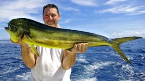 mahi mahi