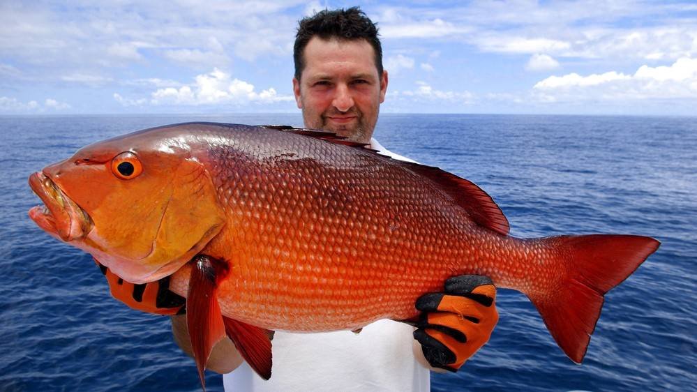 red snapper hawaii