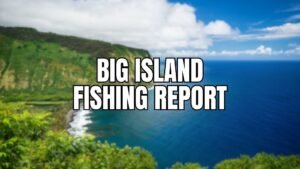 Big Island Fishing Report: Seasons and Current Conditions