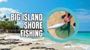 Big Island Shore Fishing Guide: Tips, Best Spots & Species