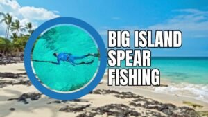 Big Island Spear Fishing: Full Guide, Top Charter and Tips
