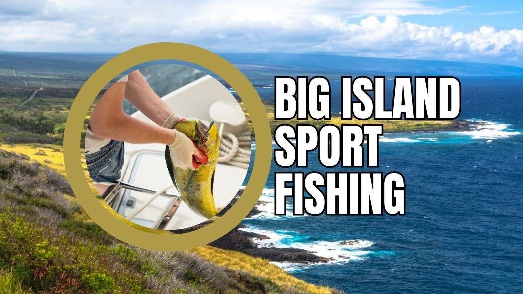 big island sport fishing