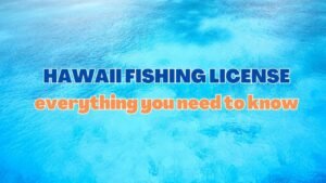 hawaii-fishing-license