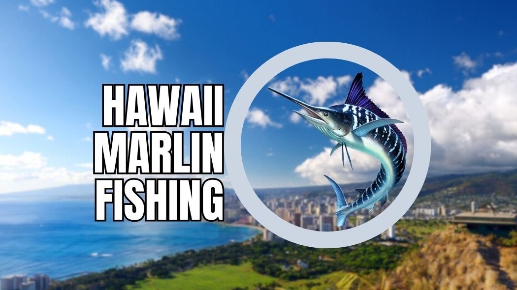 hawaii marlin fishing