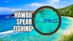 hawaii spear fishing