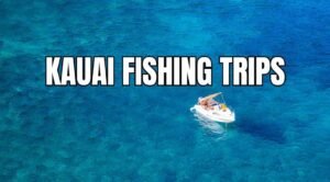 Kauai Fishing Trips: Types, Options, and Top Providers