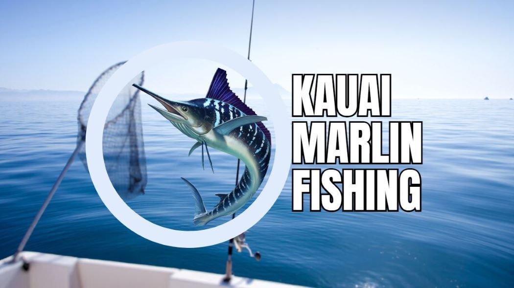 kauai marlin fishing