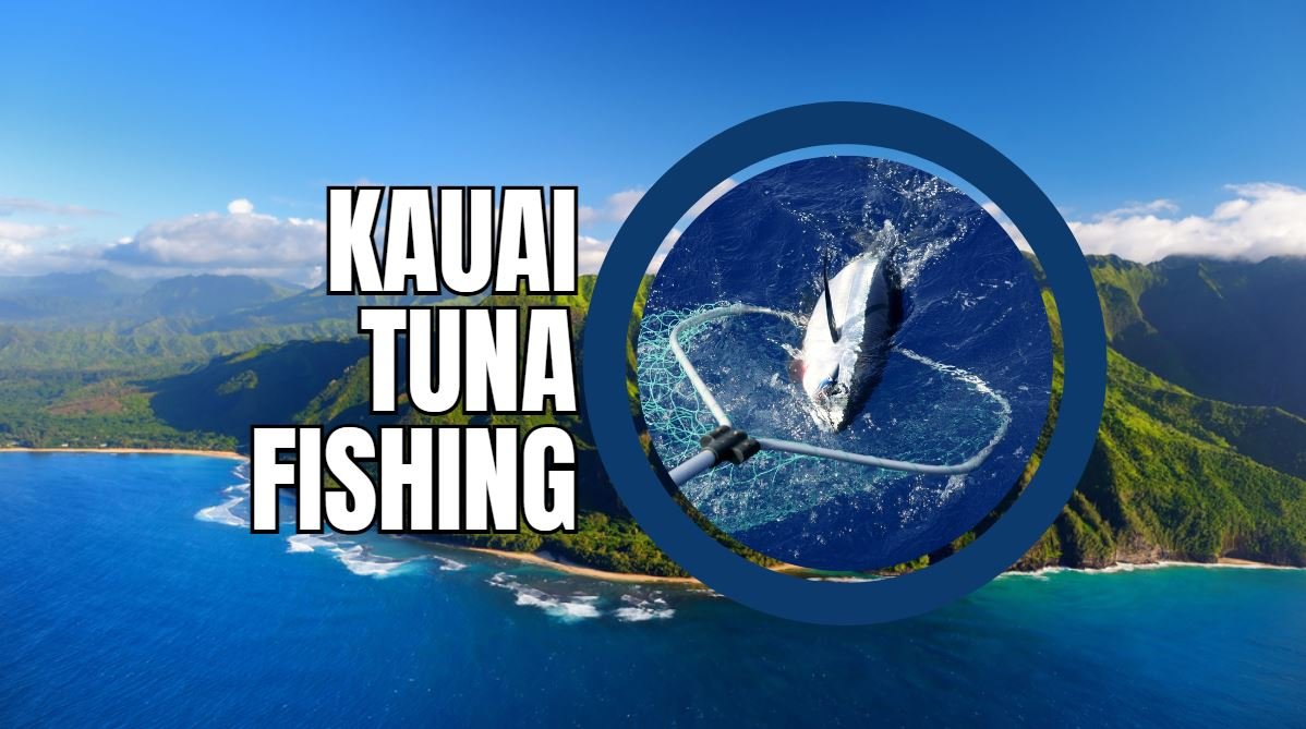 kauai tuna fishing