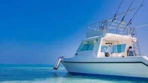 Maui Fishing Tours: Top Charters, Types, Best Times & Tips