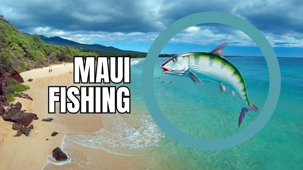 Maui Fishing Guide Charters, Calendar, Species & Hotspots