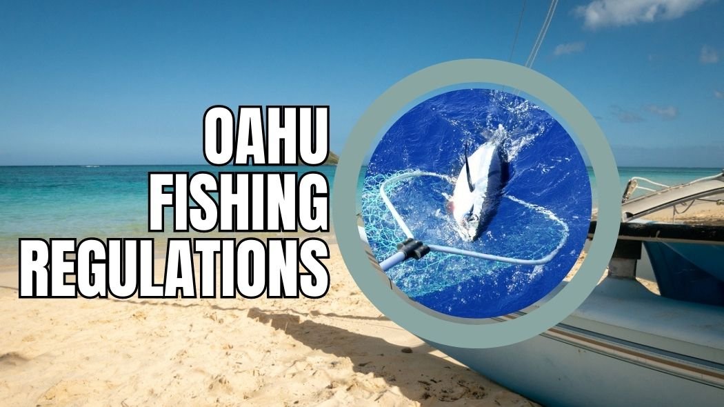 oahu fishing regulations