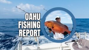 oahu fishing report