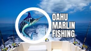 Oahu Marlin Fishing: Tips | Techniques | Hotspots | Charters