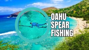 Oahu Spear Fishing: Tips, Tours, Gear and Conservation
