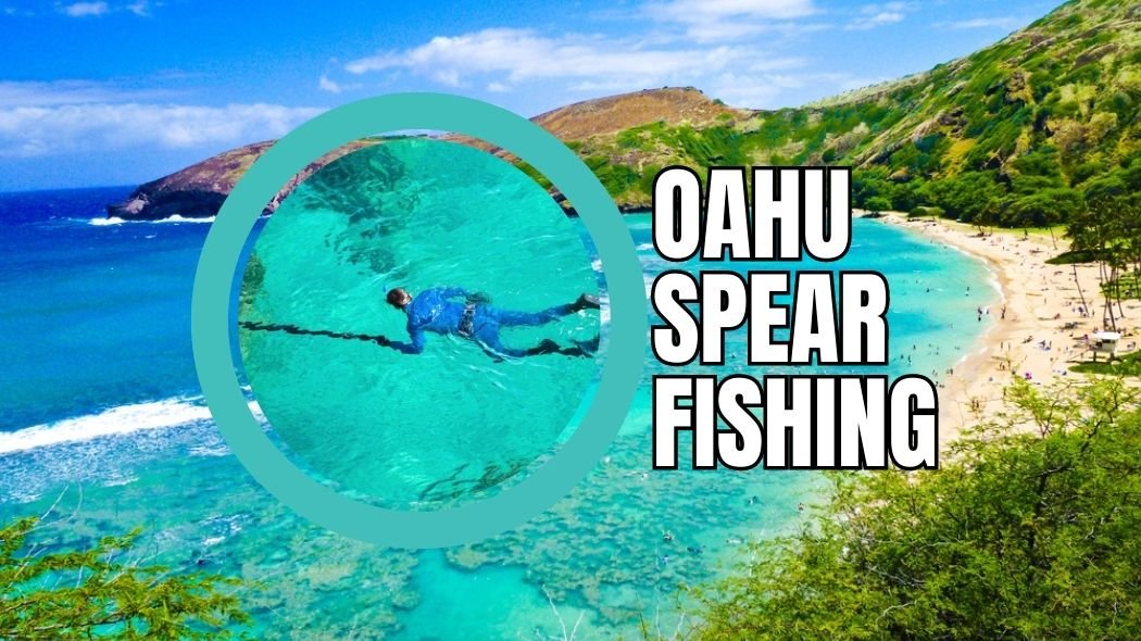 oahu spear fishing