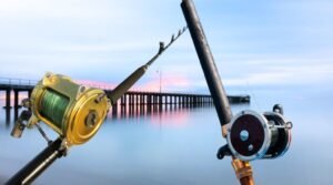 Rod and Reel Combo for Pier Fishing