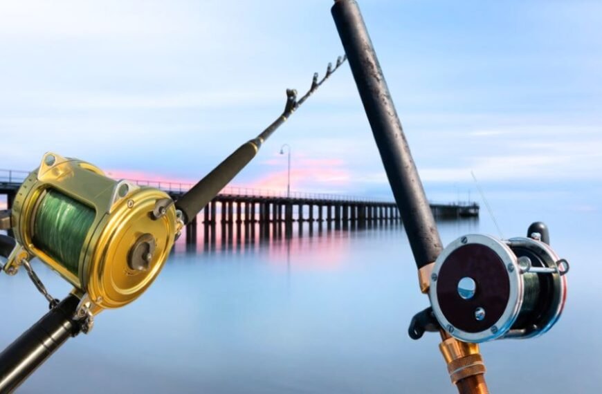 Best Rod and Reel Combo for Pier Fishing in Saltwater