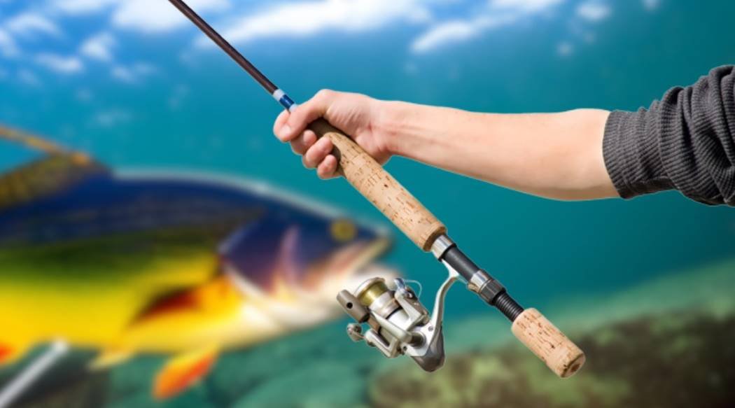 best rod action for bass fishing