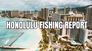 Honolulu Fishing Report: A Comprehensive Guide for Anglers