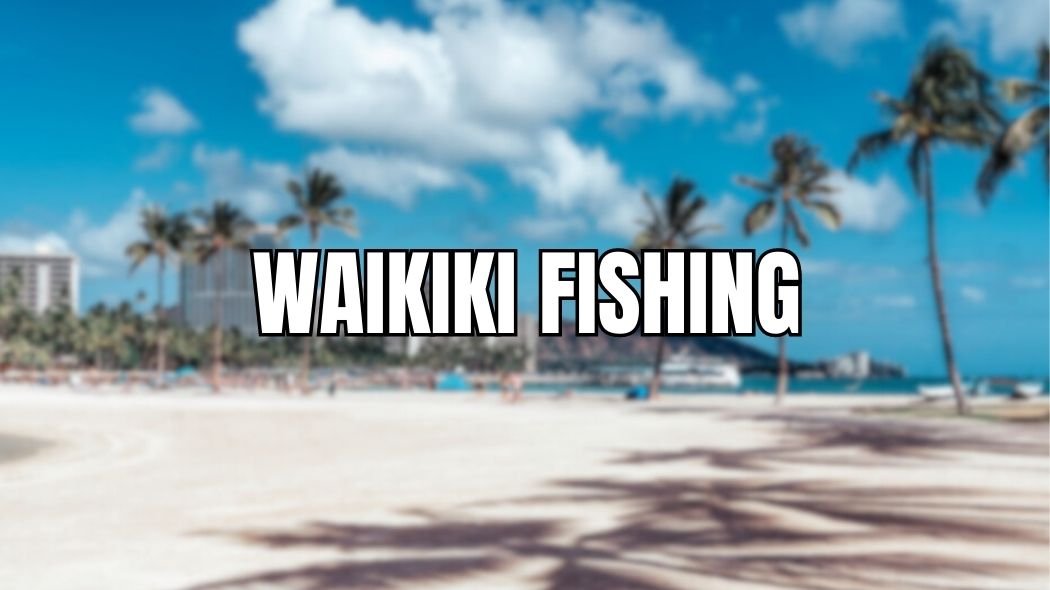 waikiki fishing