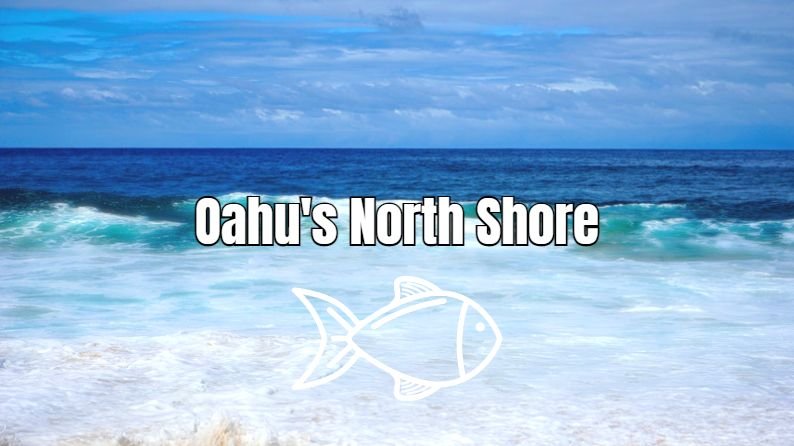 Oahu North Shore