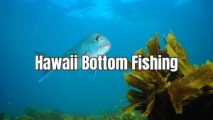 hawaii bottom fishing