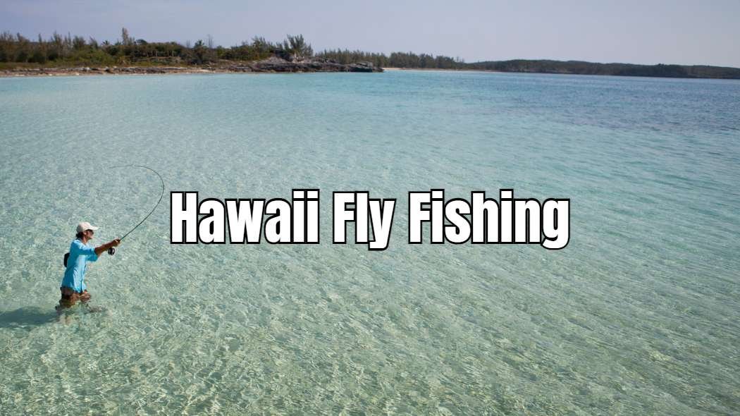 hawaii fly fishing