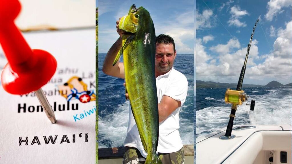 Mahi Mahi Fishing In Hawaii Peak Season, Charters + Prices