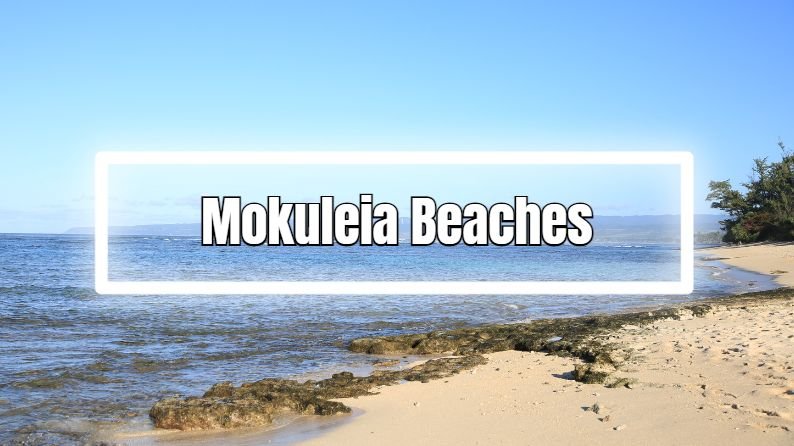 mokuleia beaches