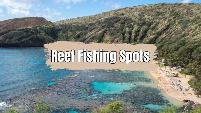 reef fishing spots