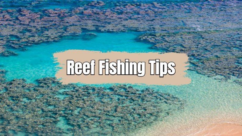 reef fishing tips