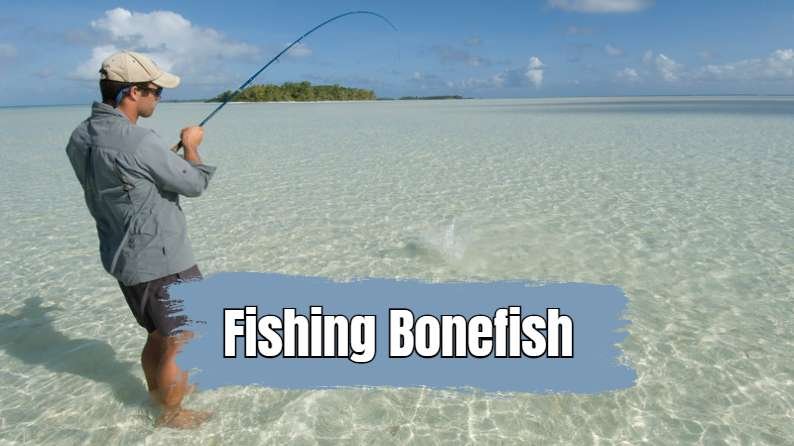 targeting bonefish