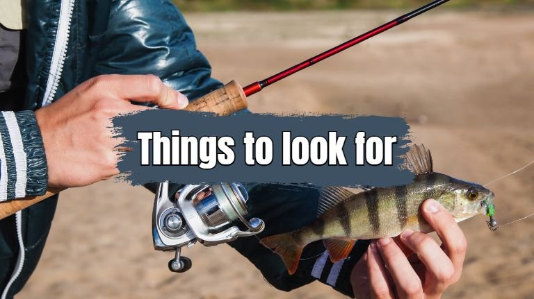 things to look for in a bass fishing rod