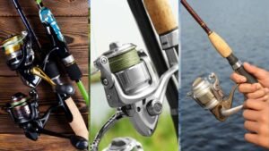 top spinning rods for inshore fishing reviewed