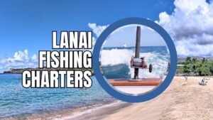 Best Lanai Fishing Charters: Book a Private Boat Custom Trip