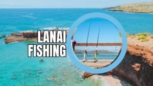 Lanai Fishing Guide: Discover Best Spots, Tips and Practices