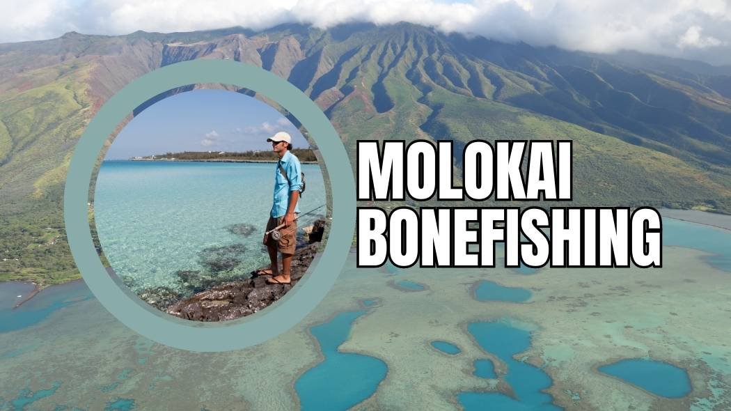molokai bonefishing featured