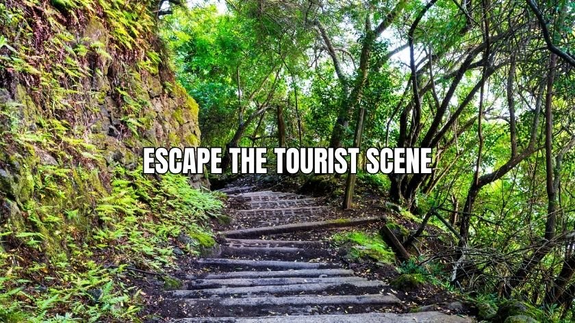 escape the tourist scene