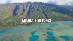 molokai fish ponds